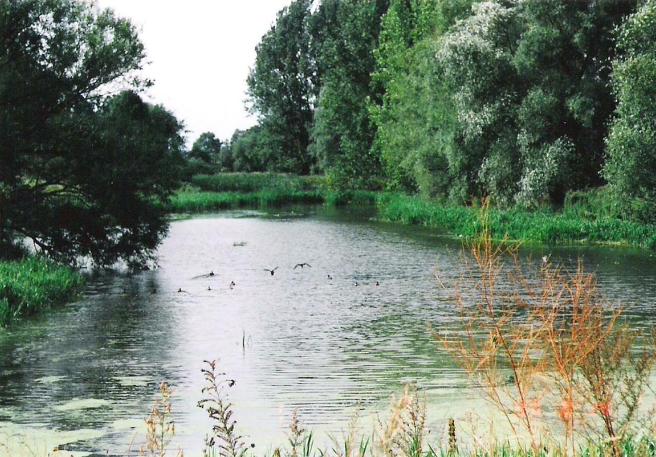 Star Camp Cosa, Ferienwohnungen, Camping, Schlaffaesser Friedland  ภายนอก รูปภาพ